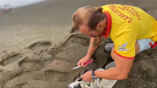 HBB CANKURTARANLARI TÜM HAYATLARI KORUYOR