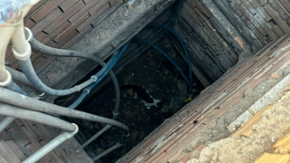 İskenderun’da binanın havalandırma boşluğuna düşen yavru kedi kurtarıldı