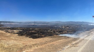 Ispartada çıkan anız yangını büyümeden söndürüldü