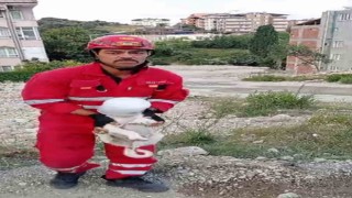 Kafasını bidona sıkıştıran yaramaz köpeğin yardımına itfaiye yetişti