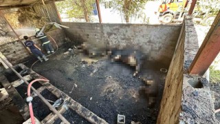 Kahramanmaraşta ahırda çıkan yangında büyükbaş hayvanlar telef oldu