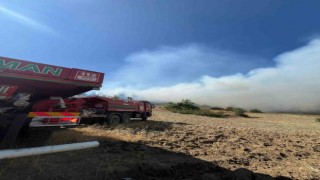 Kahramanmaraşta orman yangını