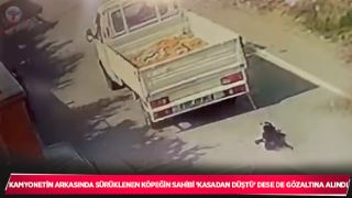 Kamyonetin arkasında sürüklenen köpeğin sahibi 'kasadan düştü' dese de gözaltına alındı