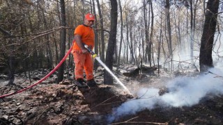 Kırsal alanda çıkan yangın 3 sera ve ormanlık alana zarar verdi