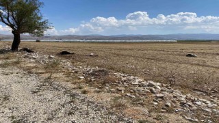 Korkutelinde su baskını sebebiyle onlarca hayvan telef oldu