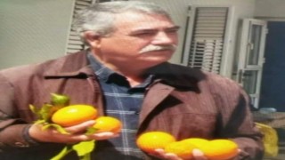 Kuyudaki facianın sebebinin su kesintisi olduğu ortaya çıktı