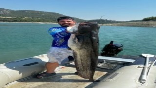 Oltayla 45 kiloluk yayın balığı yakaladı