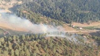 Osmaniyede orman yangını