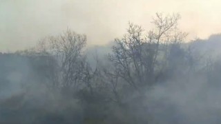 Osmaniyede orman yangını