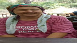 Parke taşıyla eşini öldürdü