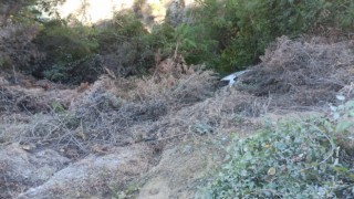 Samandağda uçurumdan uçan otomobilin sürücü yaralandı