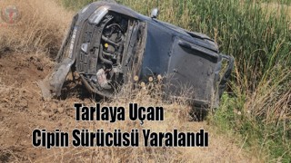 Tarlaya uçan cipin sürücüsü yaralandı