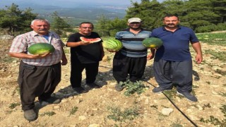 Tarsusta yerli tohuma ve üretime dönüş için çağrı