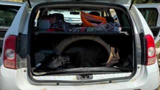 Yaban keçisi avlayan 2 şahsa 1 milyon 315 bin TL ceza kesildi