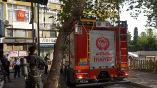 Yangın ihbarına giden itfaiye ekiplerinin dar sokak ve ağaç sınavı