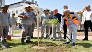 Yenilenen parka ilk ağaç fidanı Kocagözden