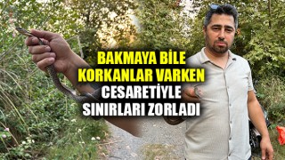 Yılanlara fısıldayan adam