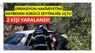 Zeytinliğe uçan otomobildeki 2 kişi yaralandı
