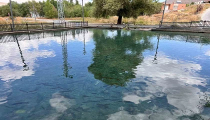 6 Şubat depremlerinde kaybolduğu iddia edilen balıklar yeniden ortaya çıktı