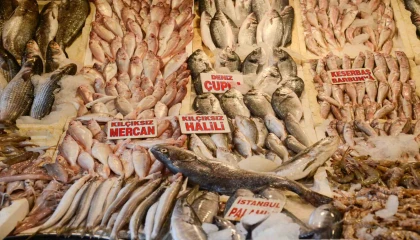Akdenizde av yasağının 15 Eylülde kalkmasıyla tezgahlarda balık bolluğu yaşanıyor