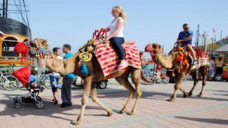 Alanyada devecilik faaliyetlerine son verildi