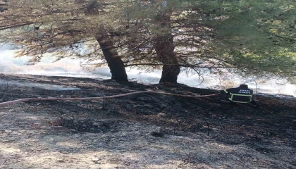 Antakyada örtü yangını