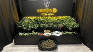 Antalyada 42 adrese eş zamanlı uyuşturucu operasyonu