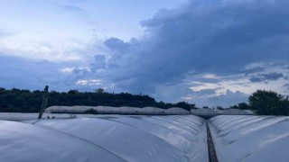 Antalyada serada çalışırken elektrik akımına kapılıp ağır yaralanan gençten kötü haber