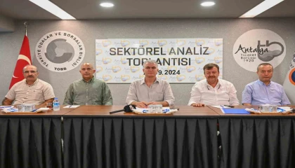 Antalyada zeytin rekoltesinde geçen yıla göre yüzde 30 artış bekleniyor