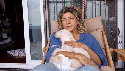 Arka ayakları kesilmiş halde bulunan köpek yeni yuvasına kavuştu