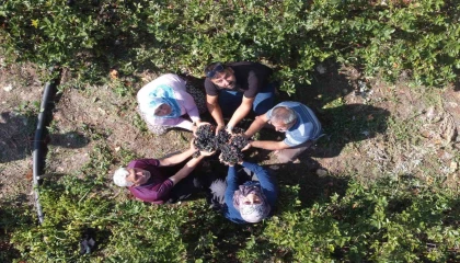 Ata toprağını üretime geçirdi, şifa deposu meyve üretti