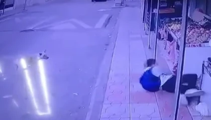 Başıboş sokak köpeğinden kaçtı düşüp markete sığınarak kurtuldu