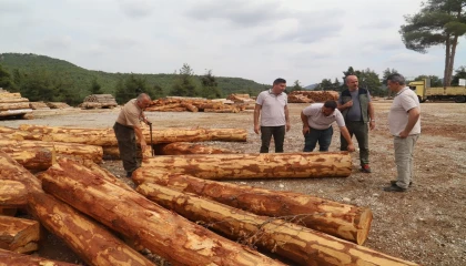 Bölge Müdürü Ataş, Tarsusta ormancılık faaliyetlerini inceledi