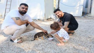 Çuvala konulup, çöplük alana terk edilen köpeği vatandaşlar kurtardı