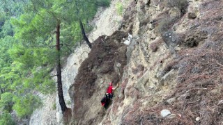 Dağda mahsur kalan keçileri jandarma kurtardı