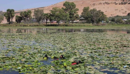 Doğa harikası Gölbaşı Gölünde kıyı ve dip temizliği gerçekleştirildi