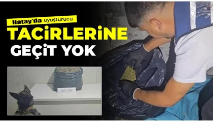 Durdurulan otomobilde 5 kilogram skunk uyuşturucu ele geçirildi