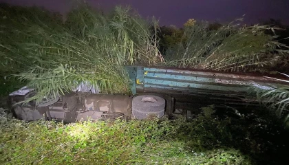 Erzinde şarampole devrilen tırın sürücüsü yaralandı