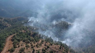 Hatayda gece saatlerinde başlayan orman yangını kontrol altına alındı