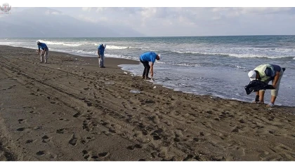 Hatay’ın 158 kilometrelik sahil şeridinde hummalı temizlik