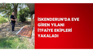 İskenderunda eve giren yılanı itfaiye ekipleri yakaladı