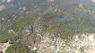 Kumlucadaki orman yangını kontrol altına alındı