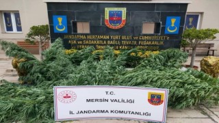 Mersinde uyuşturucu madde operasyonu: 3 gözaltı