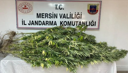 Mersinde uyuşturucu tacirlerine operasyon: 4 gözaltı