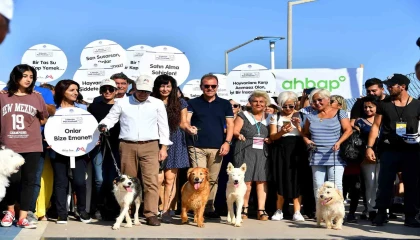 Mersindeki Patifestin 5.si 6 Ekimde yapılacak