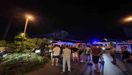 Otel duvarına çarpan tur otobüsü sürücüsü hayatını kaybetti