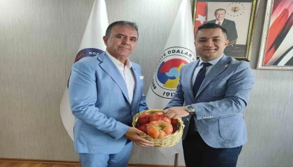 Saimbeyli cevizi, üzümü, sumağı ve domatesi tescillenecek