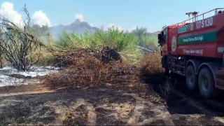 Sazlık yangını tarım arazileri ve mezarlığa ulaşmadan söndürüldü