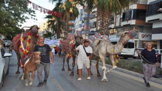 Silifkede festival coşkusu