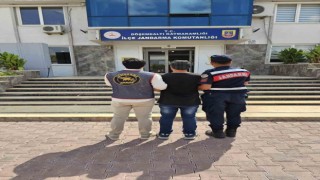 Tasarlayarak adam öldürmeden aranan şahıs jandarma operasyonuyla yakalandı